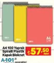 A4 100 YAPRAK SPİRALLİ PLASTİK KAPAK KARELİ/ÇİZGİLİ BLOKNOT